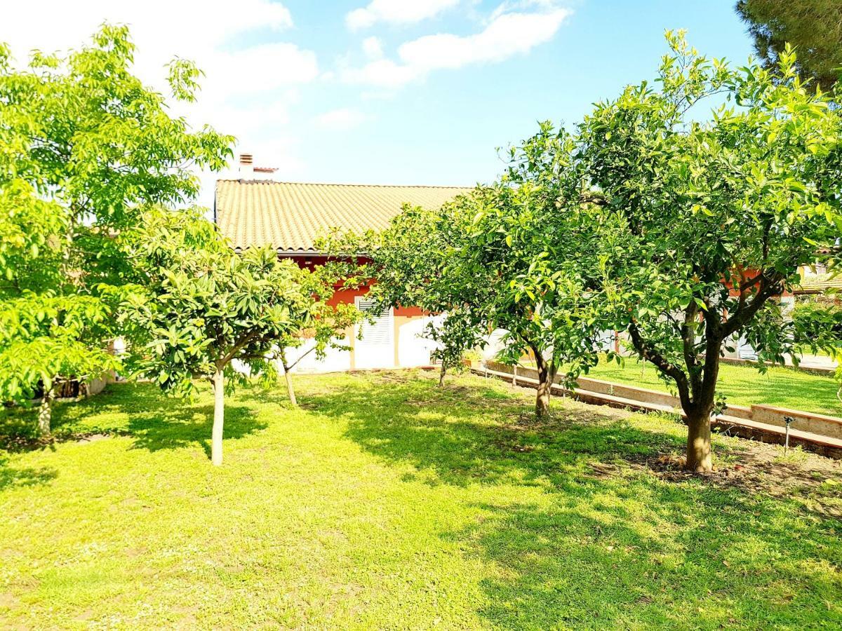 B&B Welcome Pedara Exterior photo